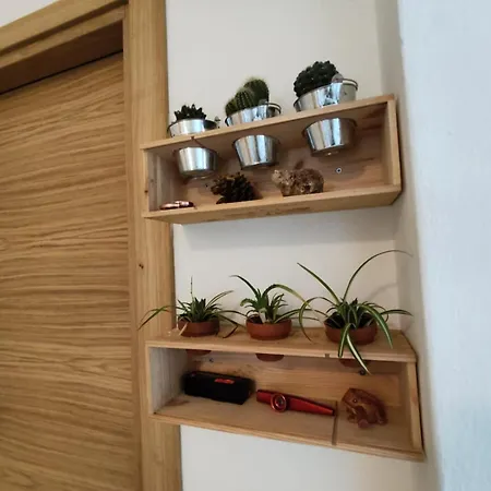 Express Luxury Apartment